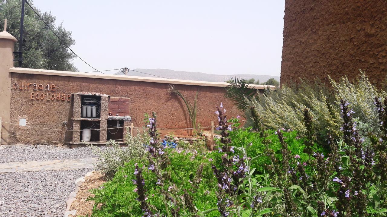 Ouirgane Ecolodge Kültér fotó