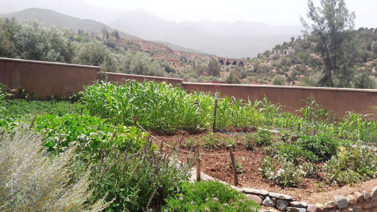 Ouirgane Ecolodge Kültér fotó